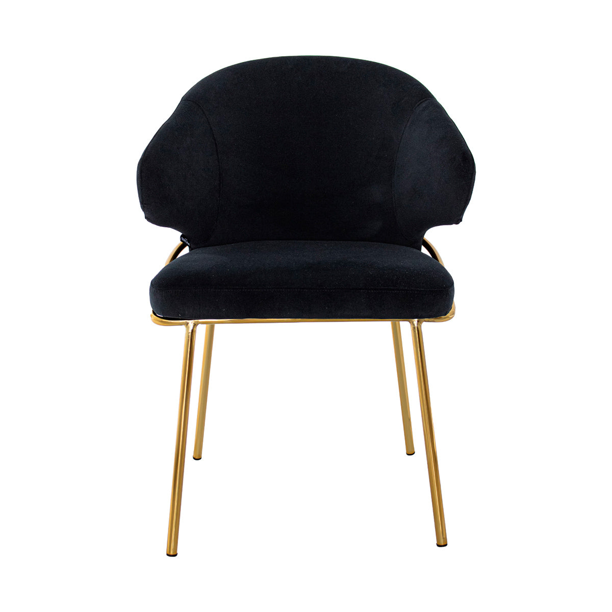 Silla Palma negra fondo blanco vista frontal