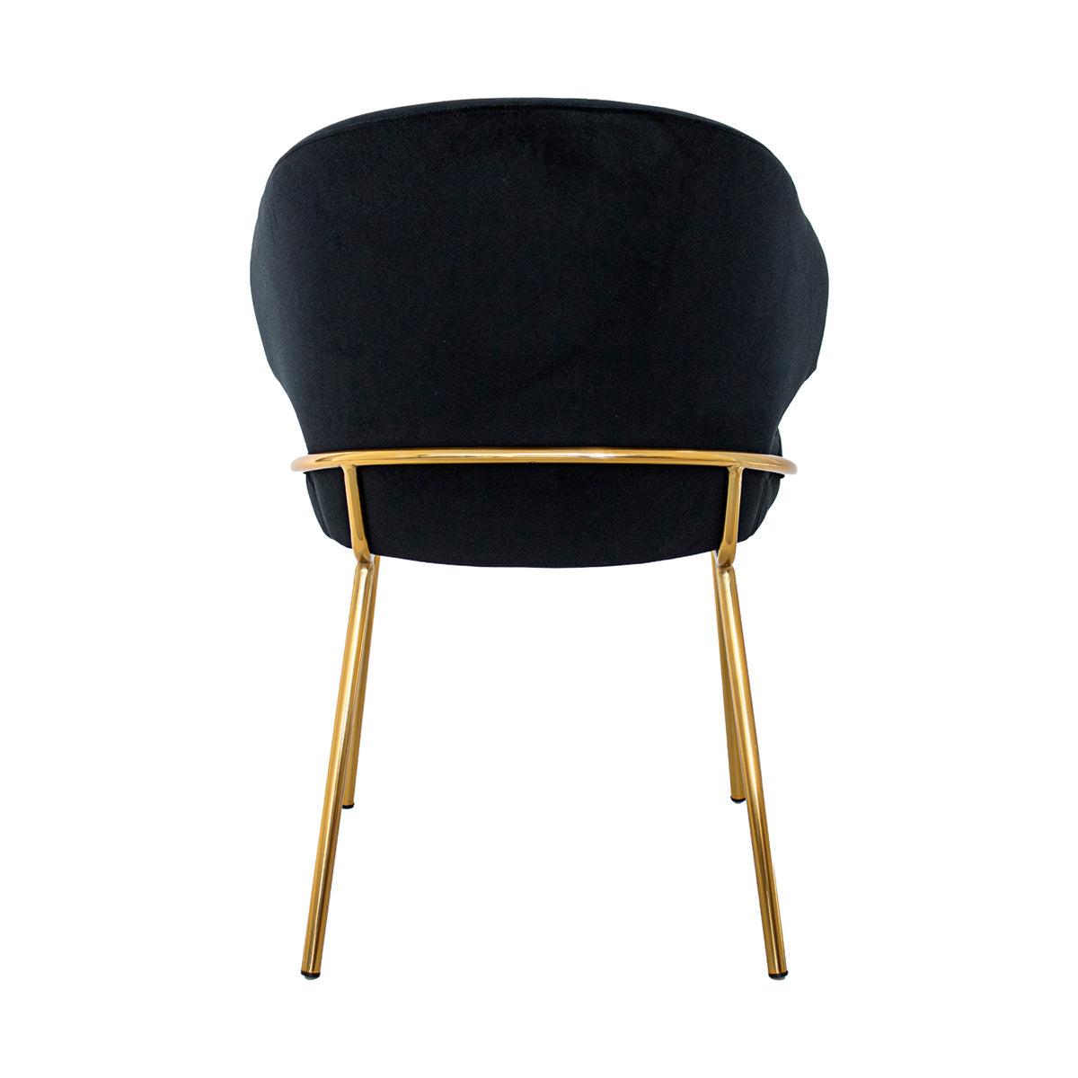 Silla Palma negra fondo blanco vista posterior